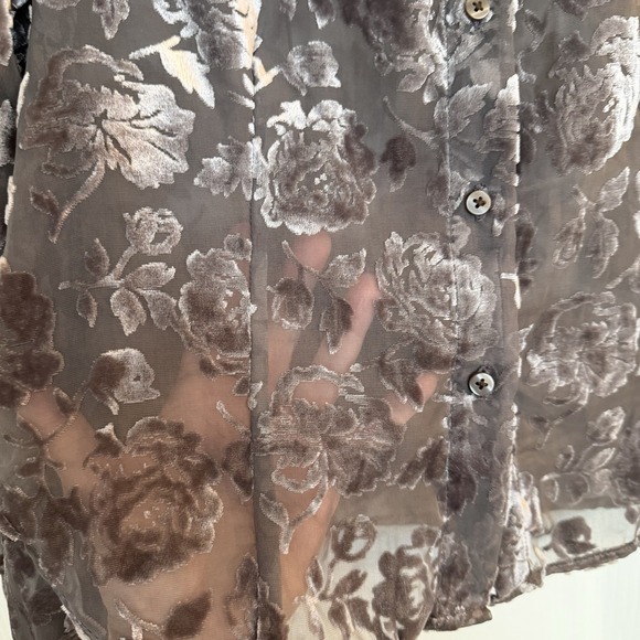 Gap Womens Small Brown Velvet Burnout Crop Button Up Floral WhimsiGoth Fairy EUC - Picture 3 of 10